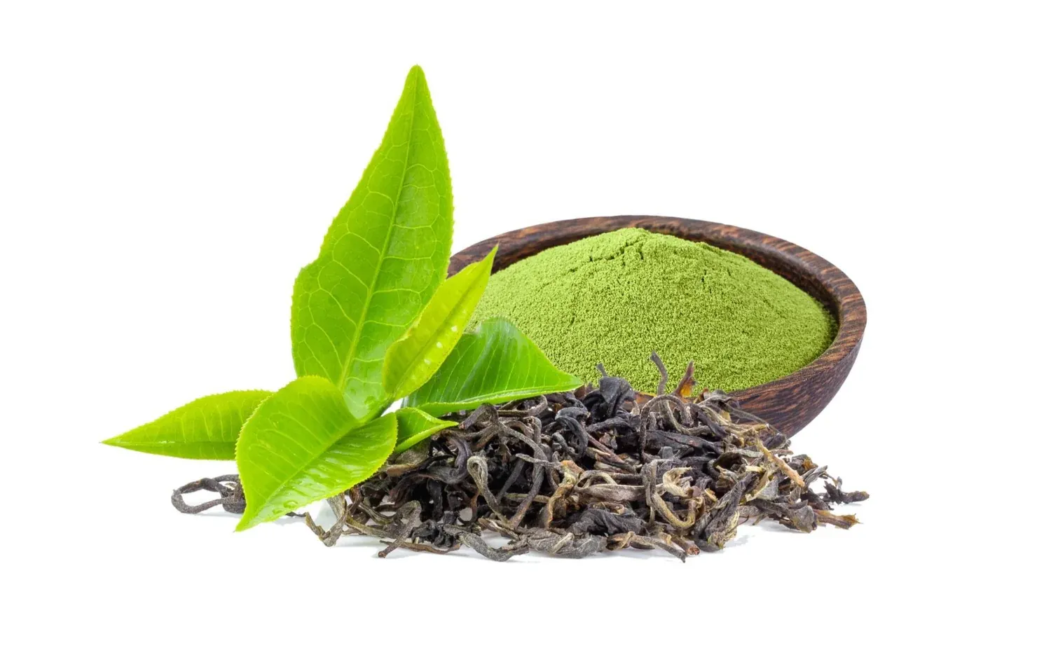 Green Tea Extract